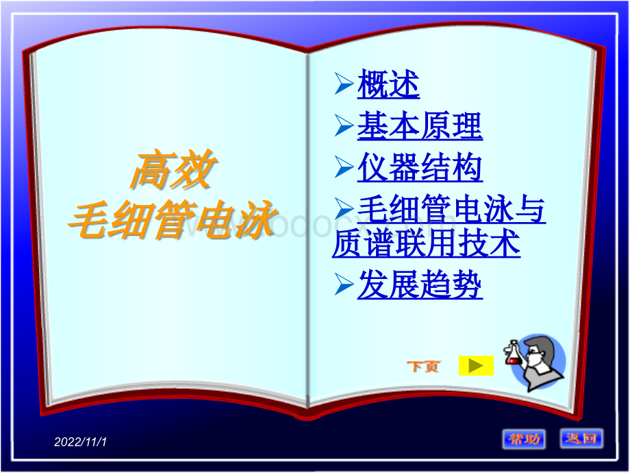 毛细管电泳_精品文档.ppt