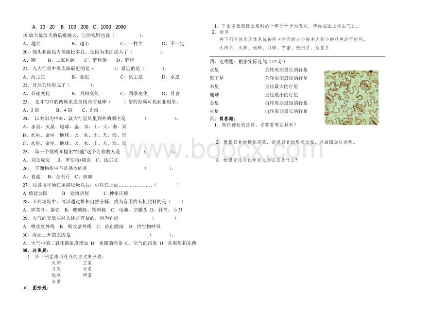 六年级科学期末试卷.doc_第2页