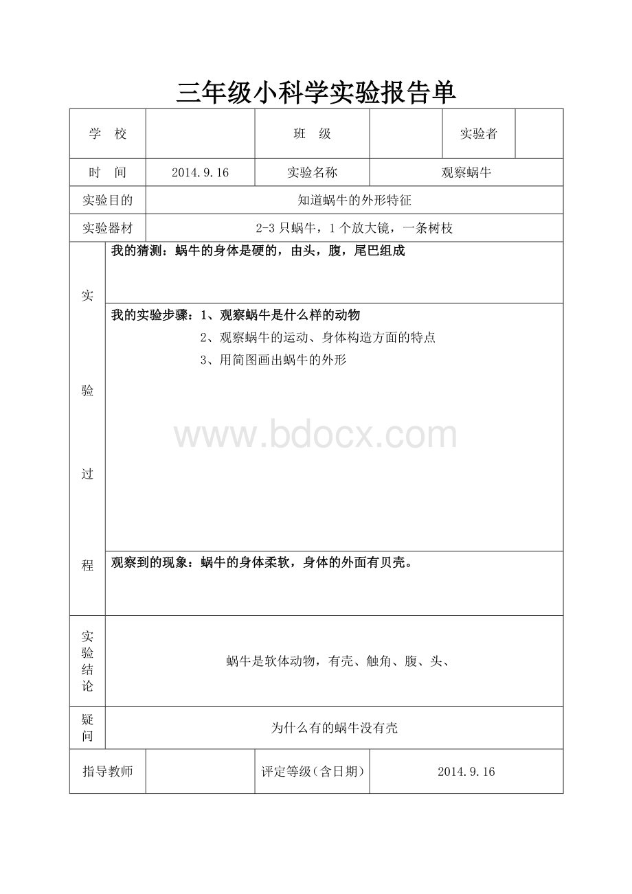 最新教科版三年级上册科学实验报告单Word文件下载.doc_第3页