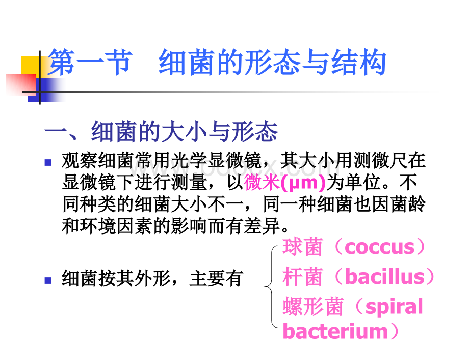第二章细菌的基本性状--细菌形态学_精品文档PPT文档格式.ppt_第2页