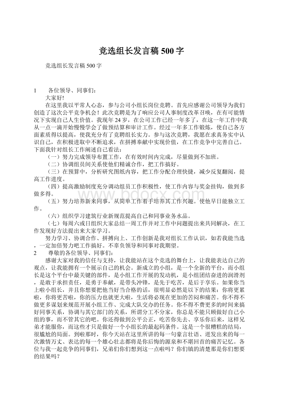 竞选组长发言稿500字.docx