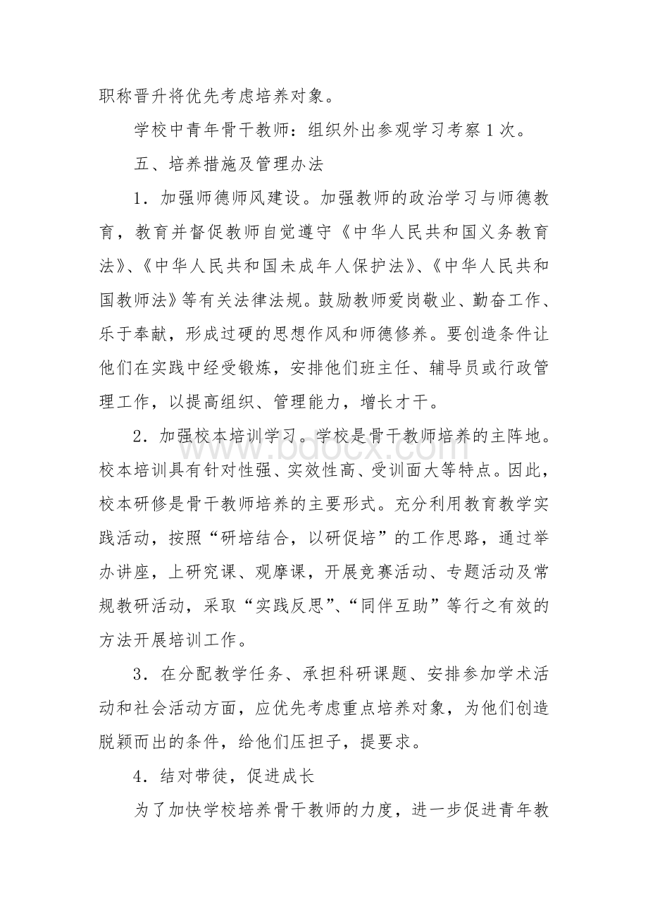 普格县螺髻山铁道兵希望学校骨干教师培养计划及措施Word文件下载.doc_第3页