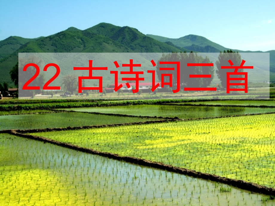 四年级下册22.古诗词三首.ppt