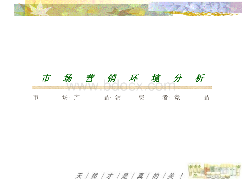 婷美推广提案.ppt_第3页