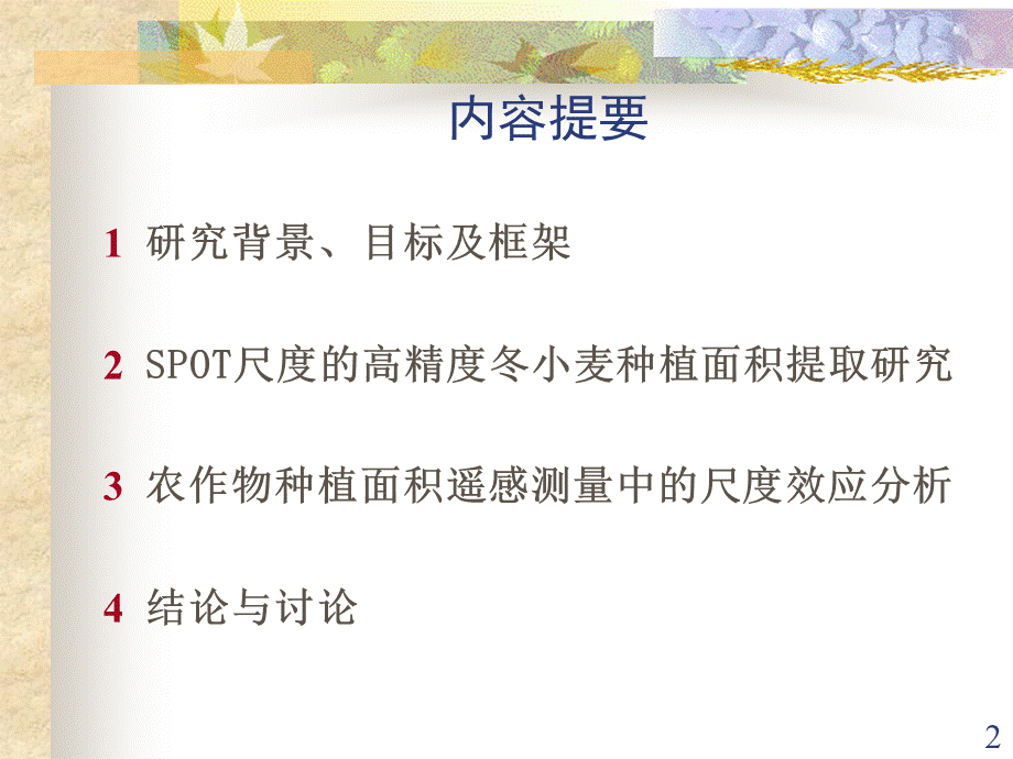 农作物种植面积遥感测量中的尺度问题研究_精品文档PPT格式课件下载.ppt_第2页