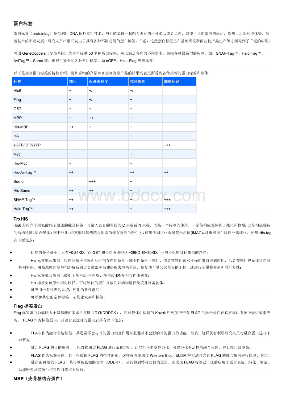 常见tag蛋白标签介绍_精品文档.doc_第1页