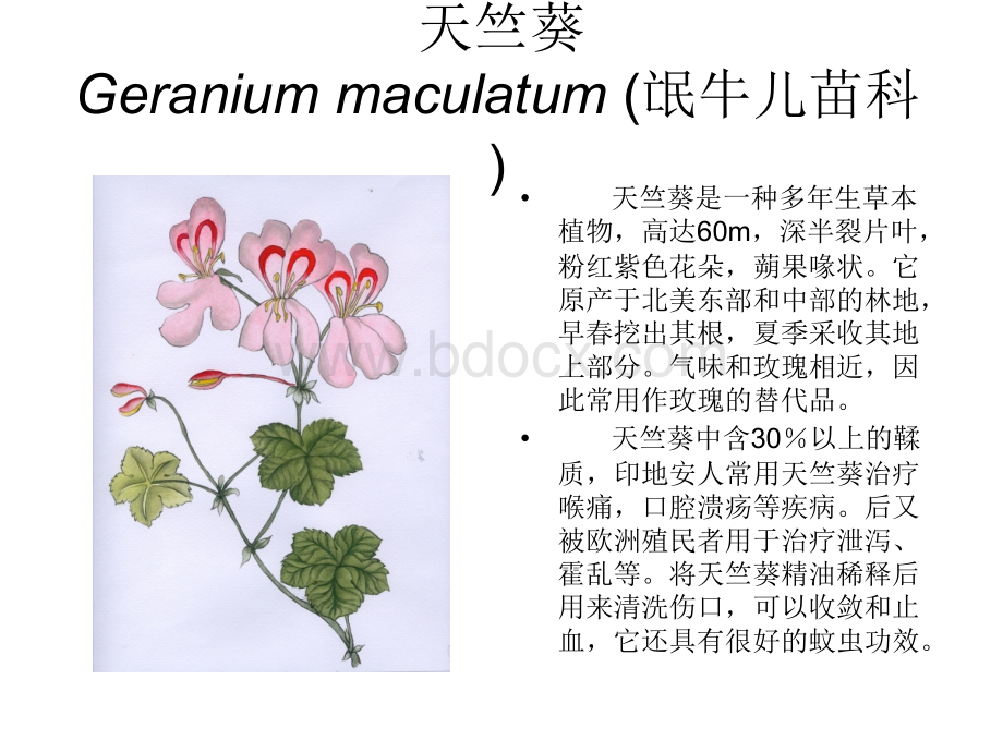 芳香植物资源5_精品文档.ppt_第1页