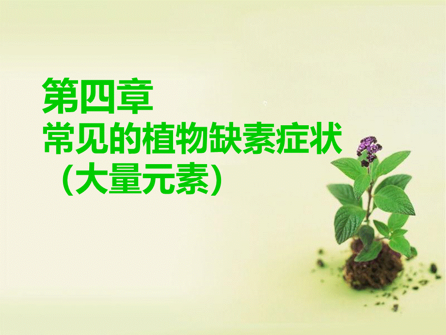 常见的植物缺素症状大量元素_精品文档.ppt