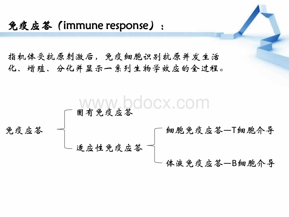 固有免疫应答_精品文档.ppt_第2页