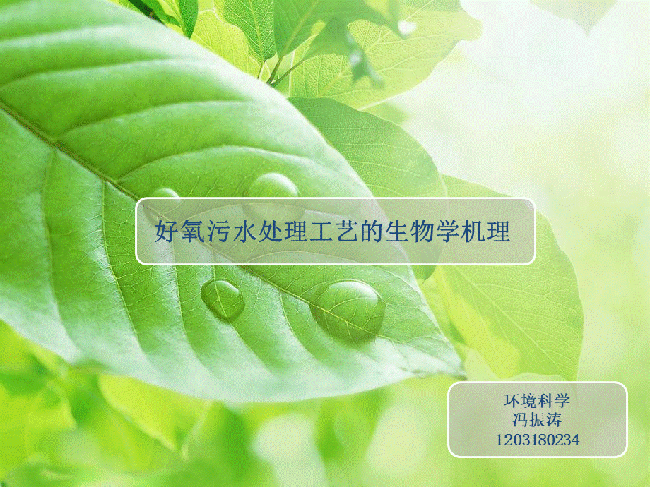 污水好氧处理的生物学机理_精品文档PPT推荐.ppt