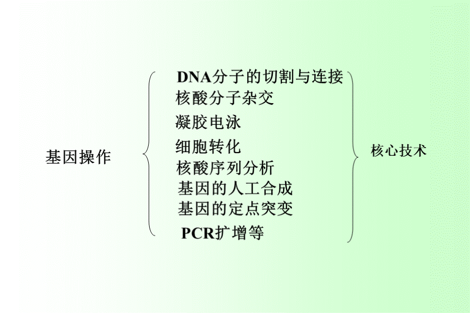 分子生物学研究方法绪论PPT推荐.ppt_第3页