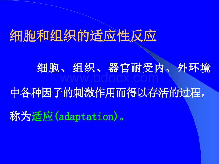 细胞组织损伤和修复_精品文档PPT文档格式.ppt_第3页