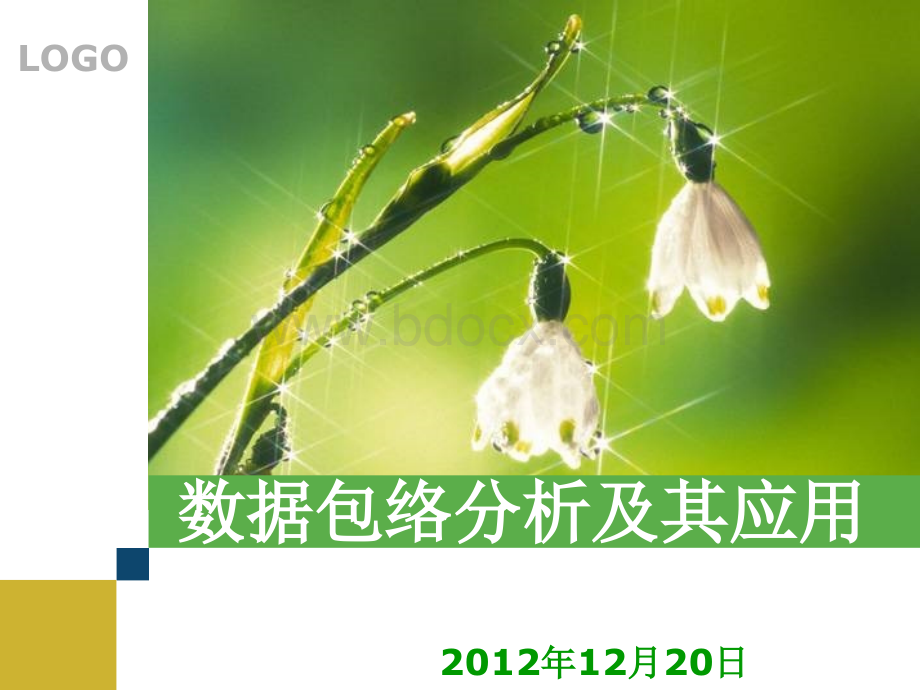 数据包络分析综述_精品文档PPT文档格式.ppt