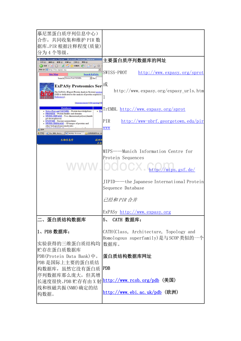 蛋白质结构预测和序列分析软件_精品文档Word下载.docx_第2页