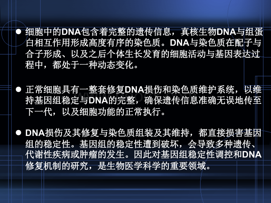 DNA损伤与修复和染色质维护_精品文档PPT文件格式下载.ppt_第3页