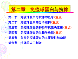 免疫球蛋白与抗体_精品文档.ppt