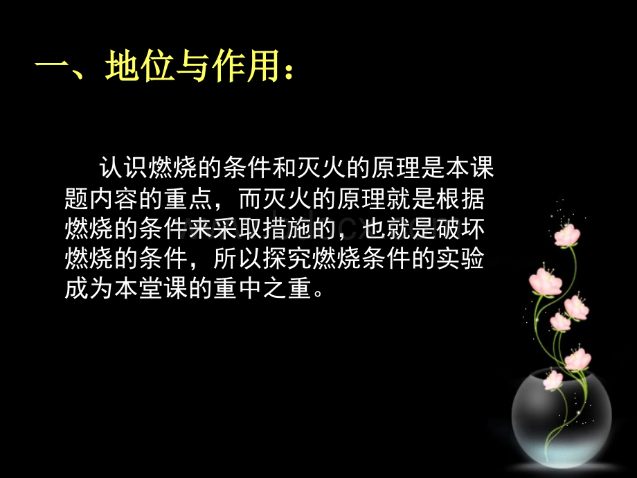 燃烧的条件实验的改进方案三_精品文档PPT格式课件下载.ppt_第2页