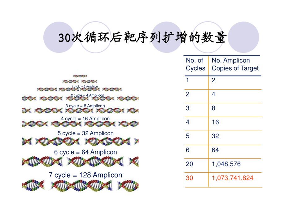 PCR实验室污染与对策_精品文档.pdf_第3页