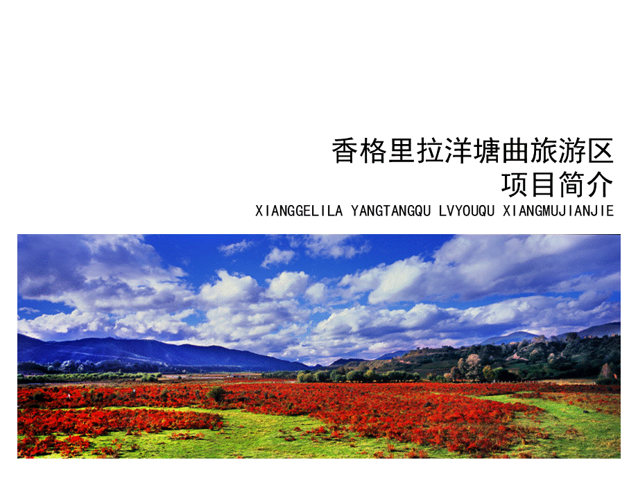 香格里拉洋塘曲景区_精品文档优质PPT.ppt_第1页