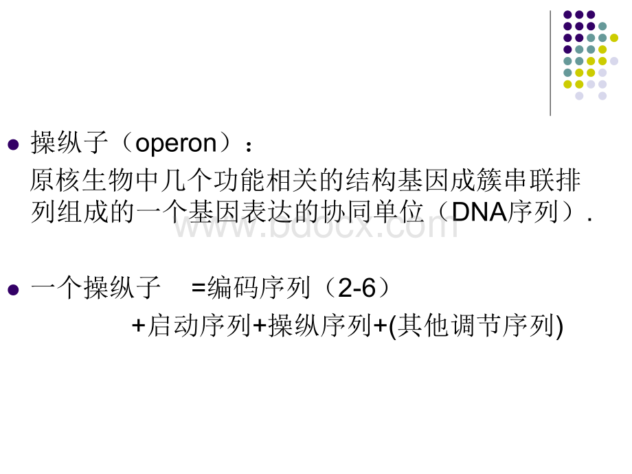 IPTG诱导的外源蛋白表达_精品文档.ppt_第2页