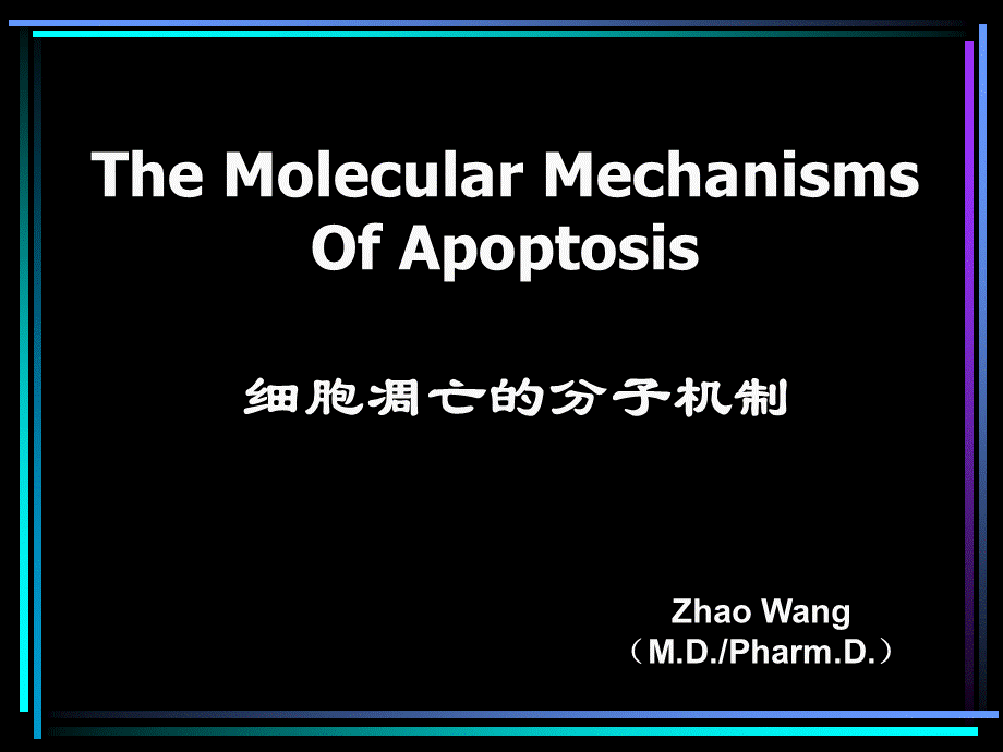 细胞凋亡的分子机制_精品文档.ppt