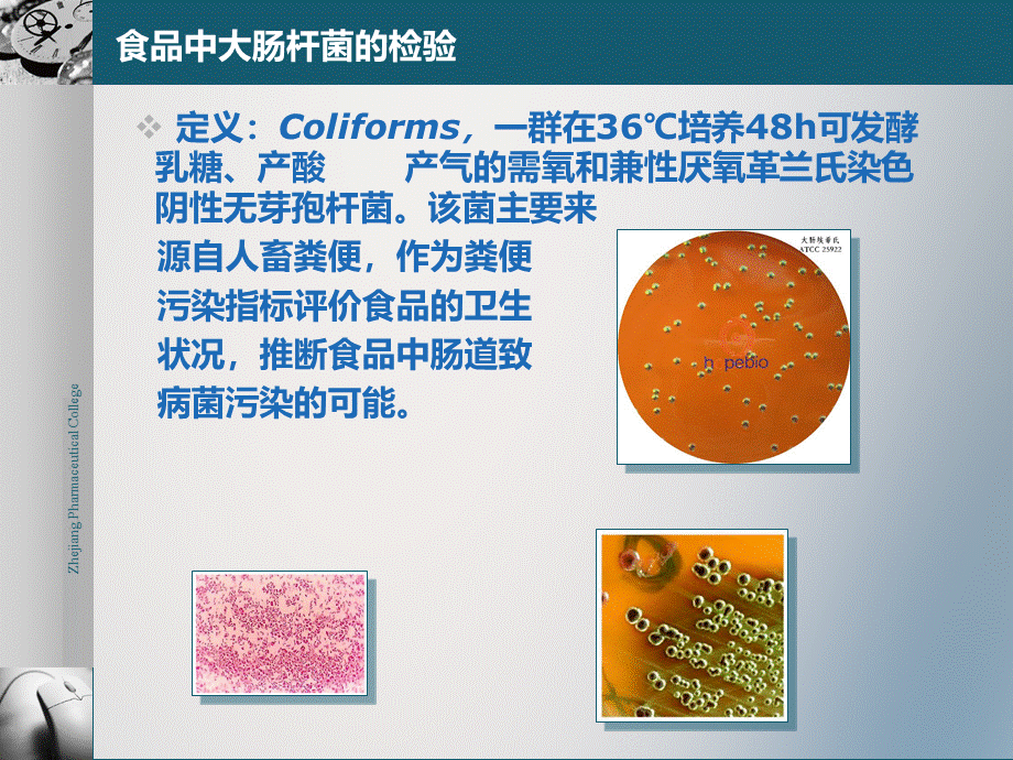 食品有害微生物检测与控制10-大肠杆菌_精品文档.pptx_第3页