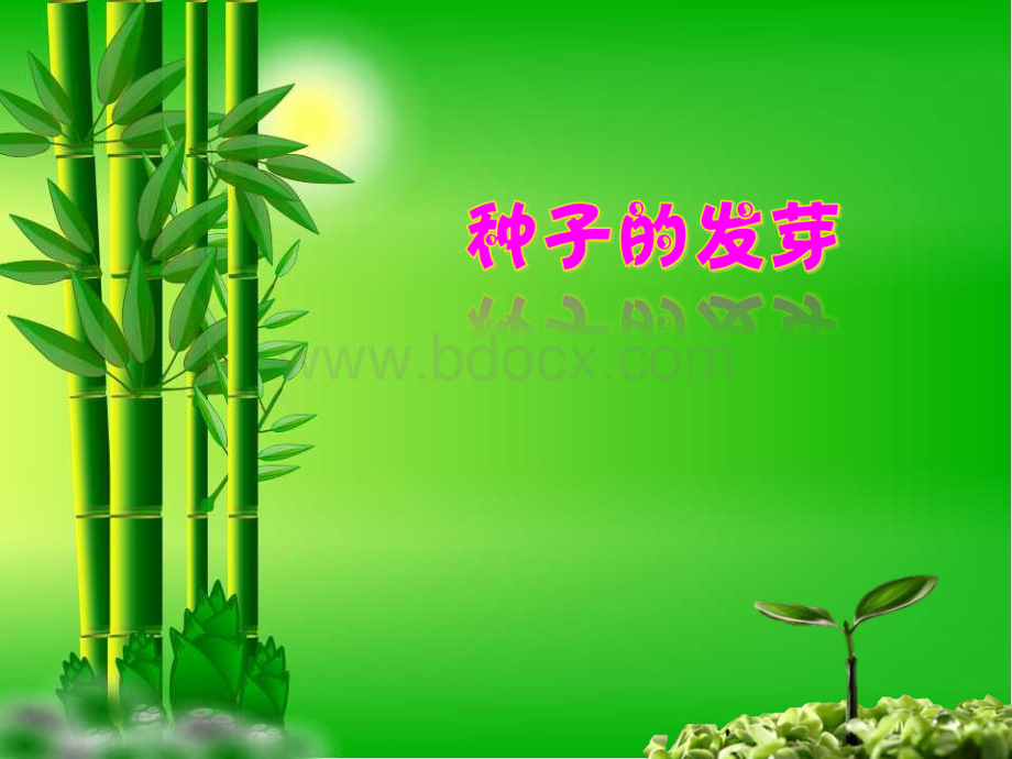 种子发芽课件PPT推荐.ppt