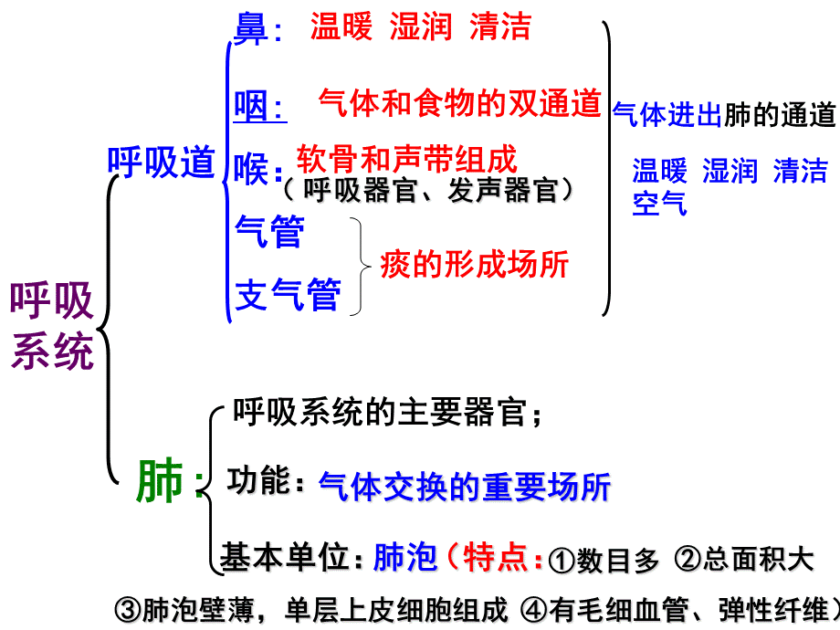 呼吸运动和肺通气_精品文档.ppt_第3页