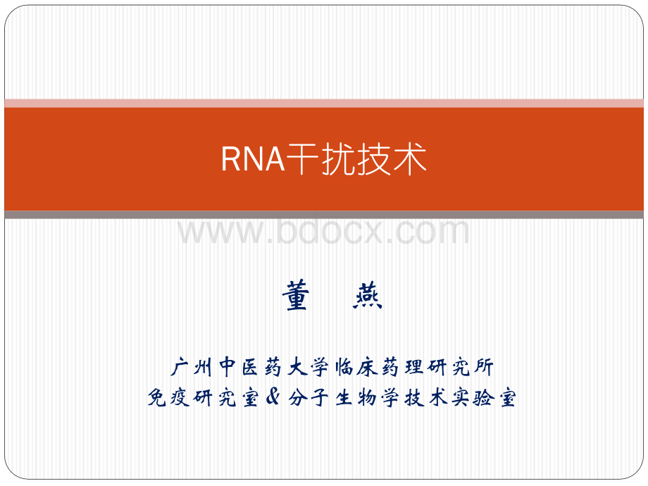 RNA干扰-_精品文档.ppt