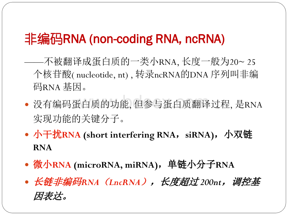 RNA干扰-_精品文档.ppt_第2页