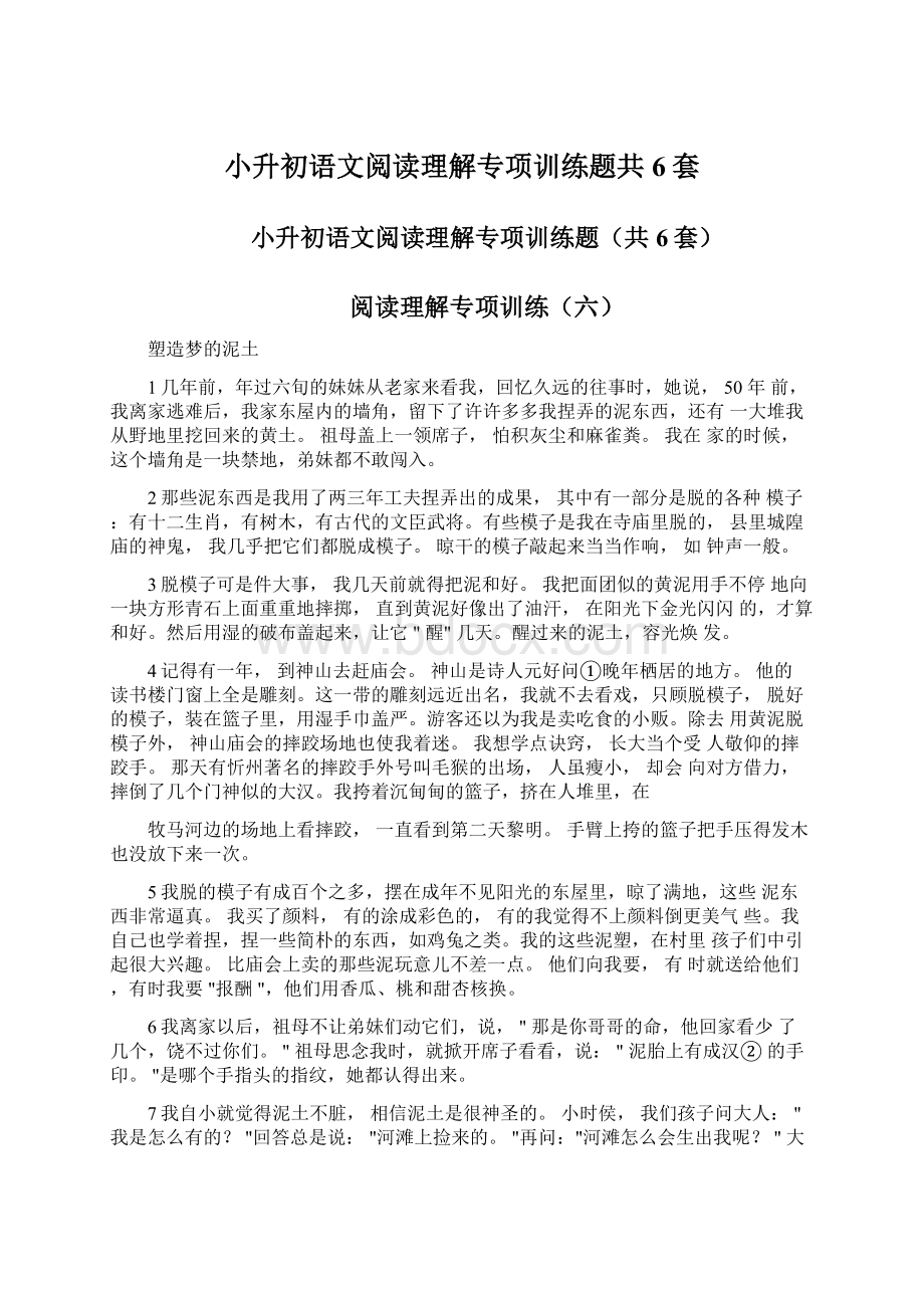 小升初语文阅读理解专项训练题共6套文档格式.docx