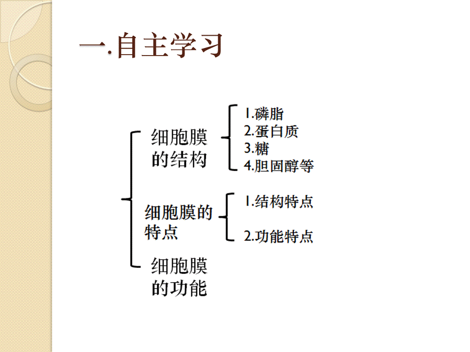 细胞膜的结构和功能_精品文档.pptx_第3页