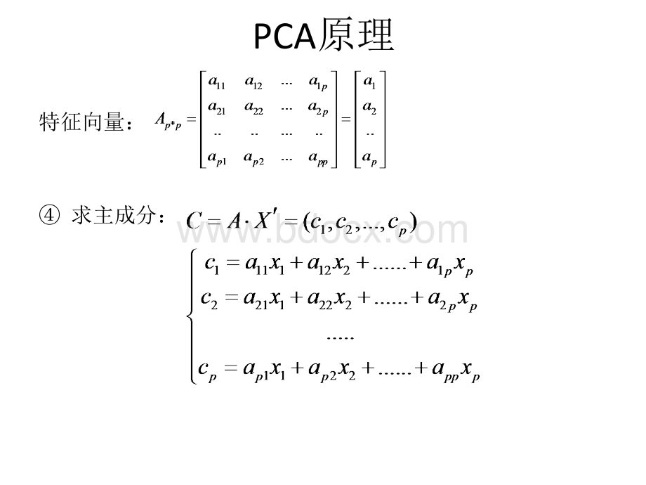 PCA基本原理与MATLAB操作步骤_精品文档.pptx_第3页