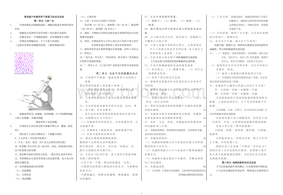 青岛版六年级下册科学全册知识点总结已排版Word文件下载.doc