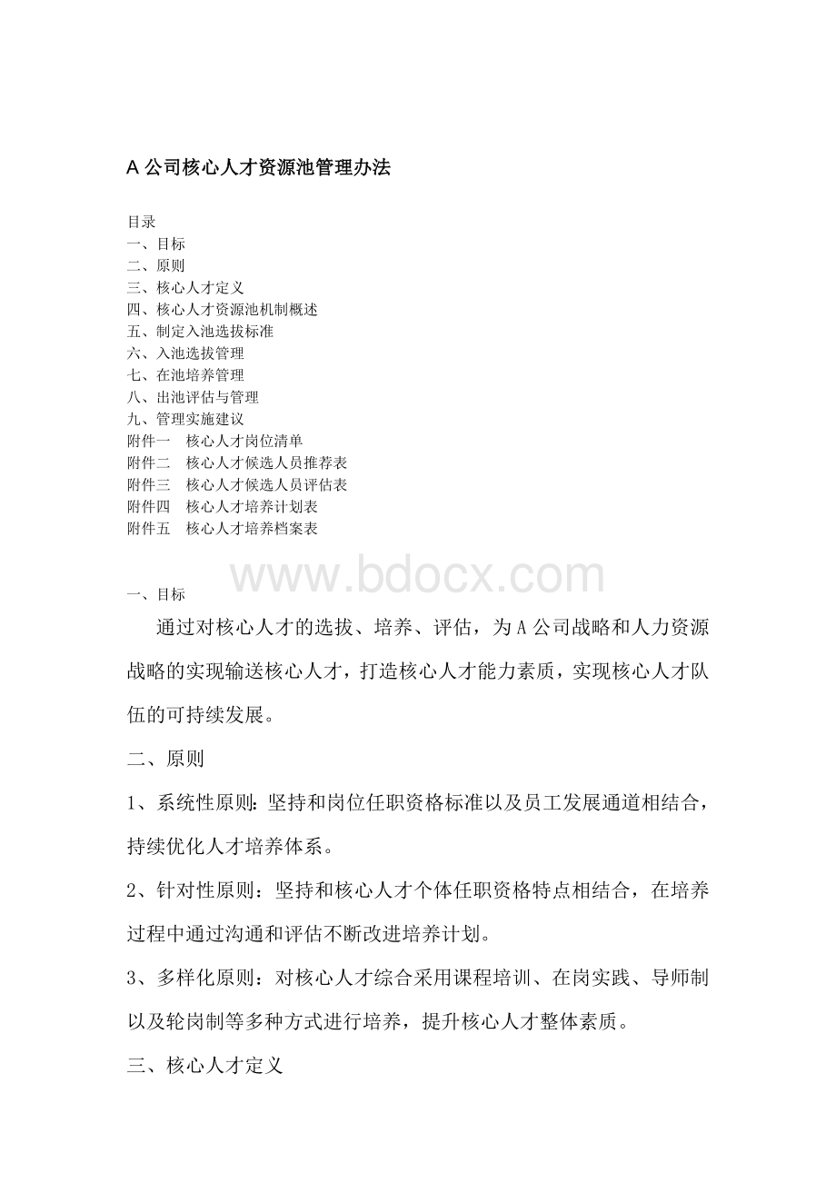 A公司核心人才资源池管理办法文档格式.doc_第1页