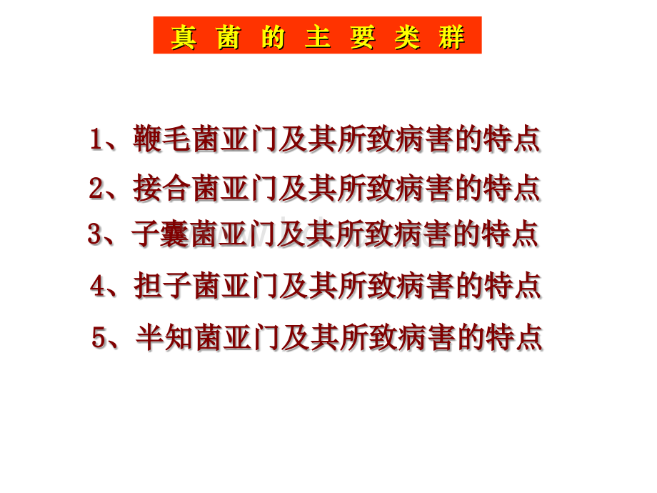 真菌的主要类群_精品文档.ppt