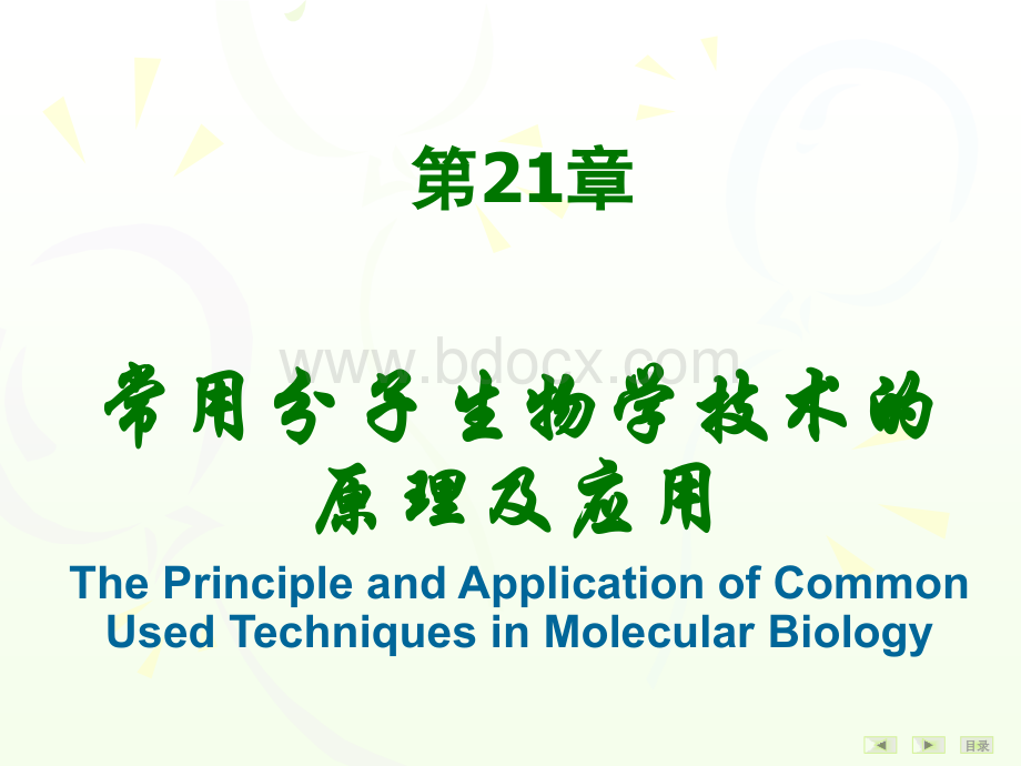 第21章常用分子生物学技术的原理及其应用.ppt