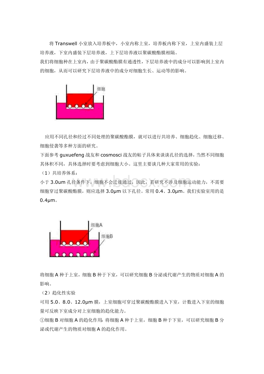 Transwell实验原理与操作步骤_精品文档Word格式文档下载.doc_第3页