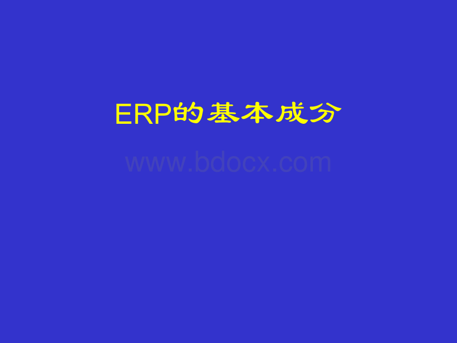 ERP基本成分_精品文档PPT文档格式.ppt