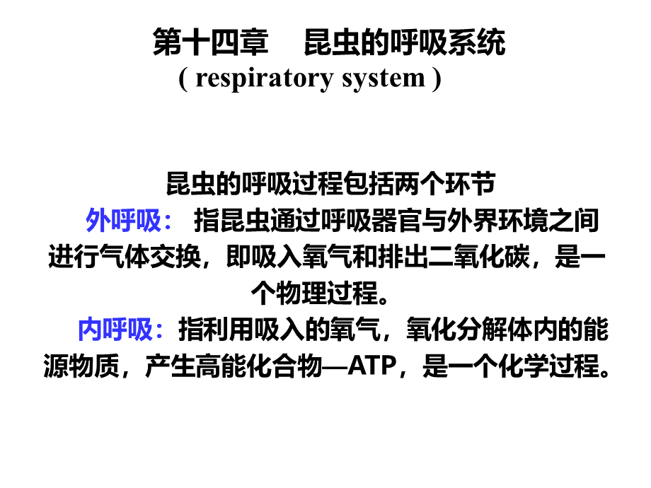 昆虫的呼吸系统1PPT_精品文档PPT格式课件下载.ppt_第1页