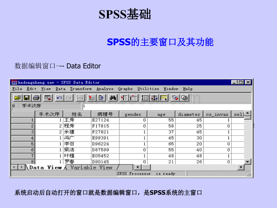 SPSS基础及计量资料描述性统计_精品文档.ppt_第2页