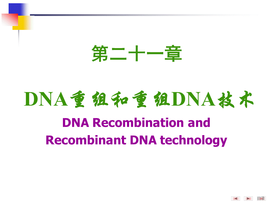 重组DNA技术_精品文档.pptx_第1页