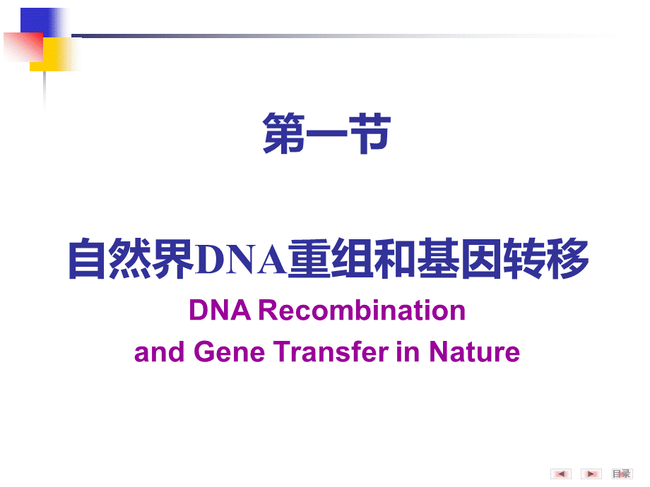 重组DNA技术_精品文档.pptx_第3页