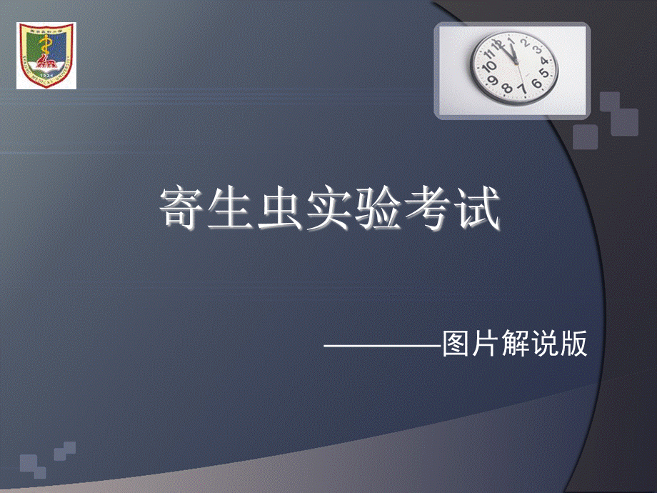 人体寄生虫实验_精品文档.ppt_第1页