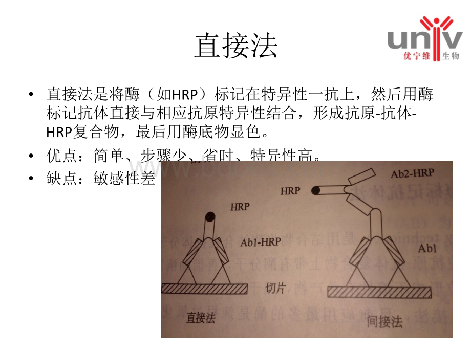 免疫组化知识普及二抗免疫组化试剂盒_精品文档PPT文档格式.ppt_第2页