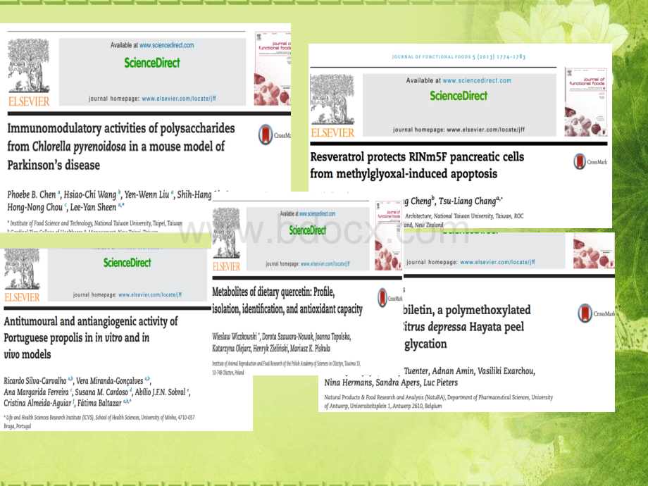 细胞实验的英文文献_精品文档PPT文档格式.ppt_第2页