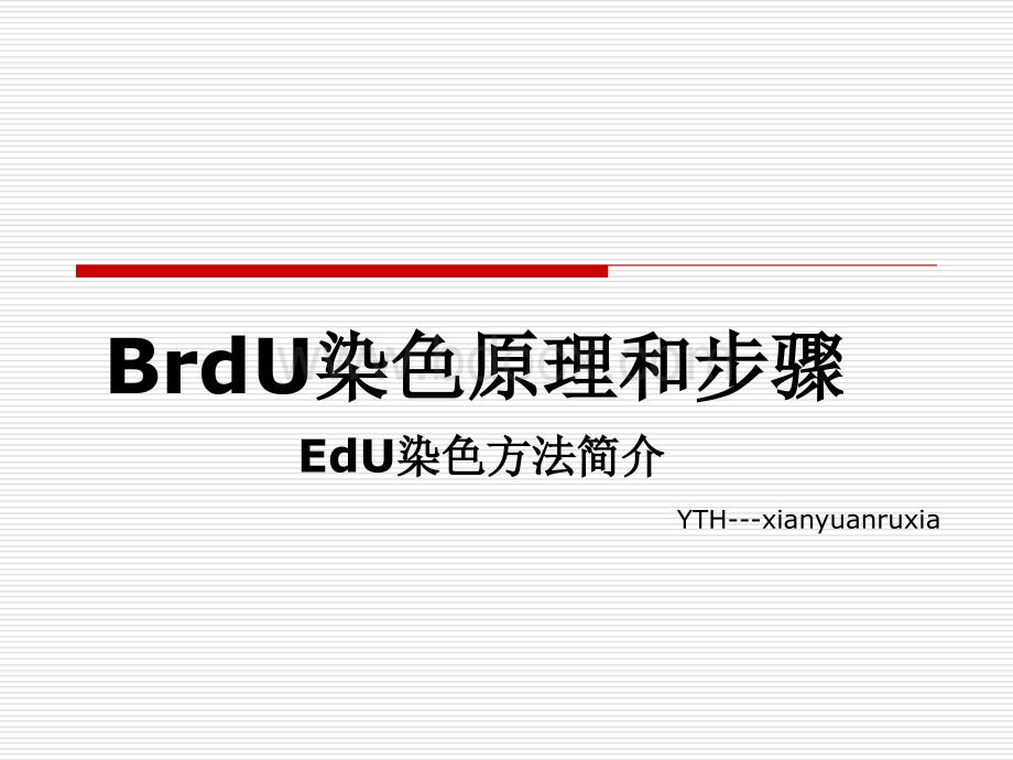 BrdU染色原理和步骤_精品文档.ppt_第1页