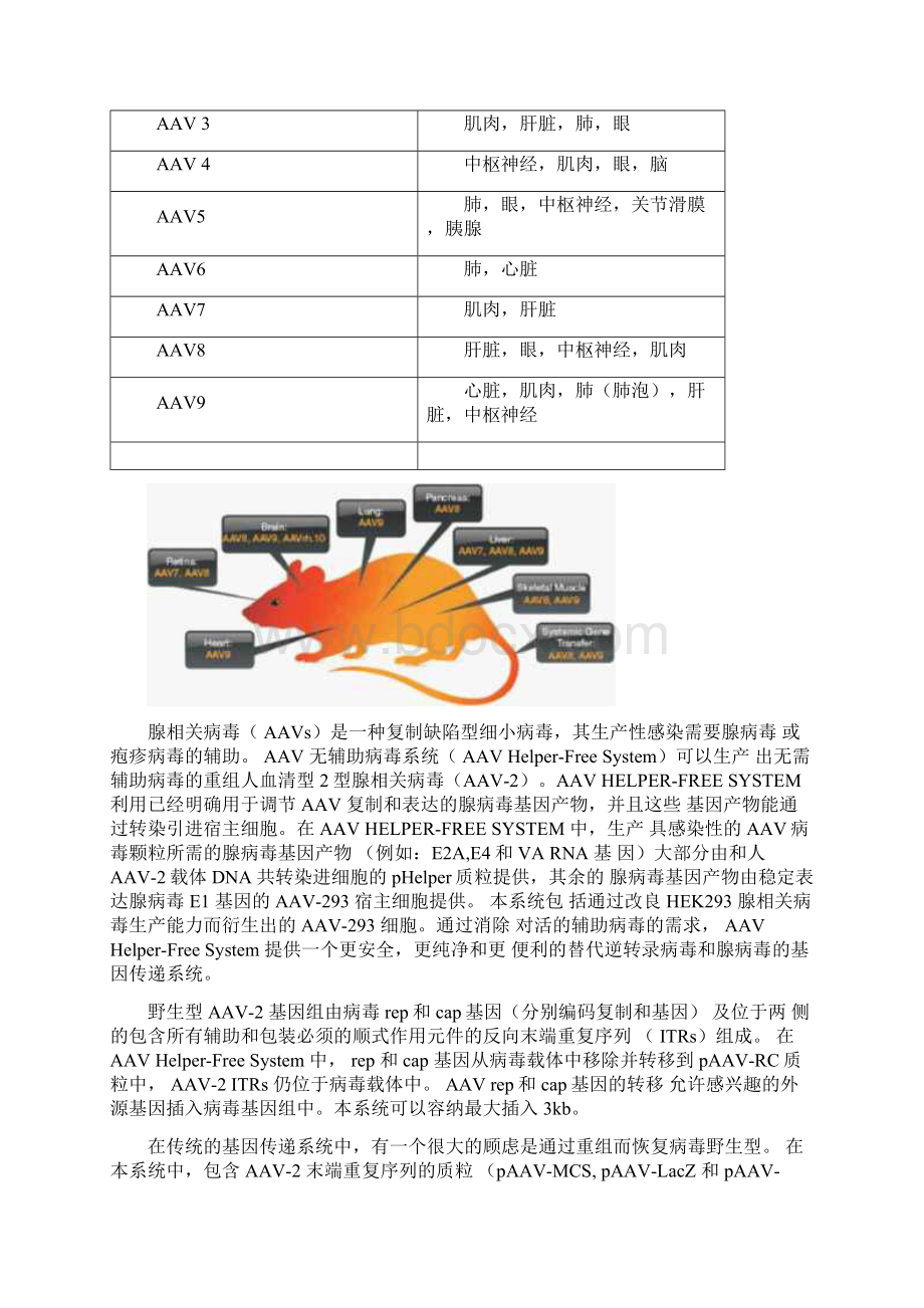 第七章腺相关病毒载体.docx_第3页