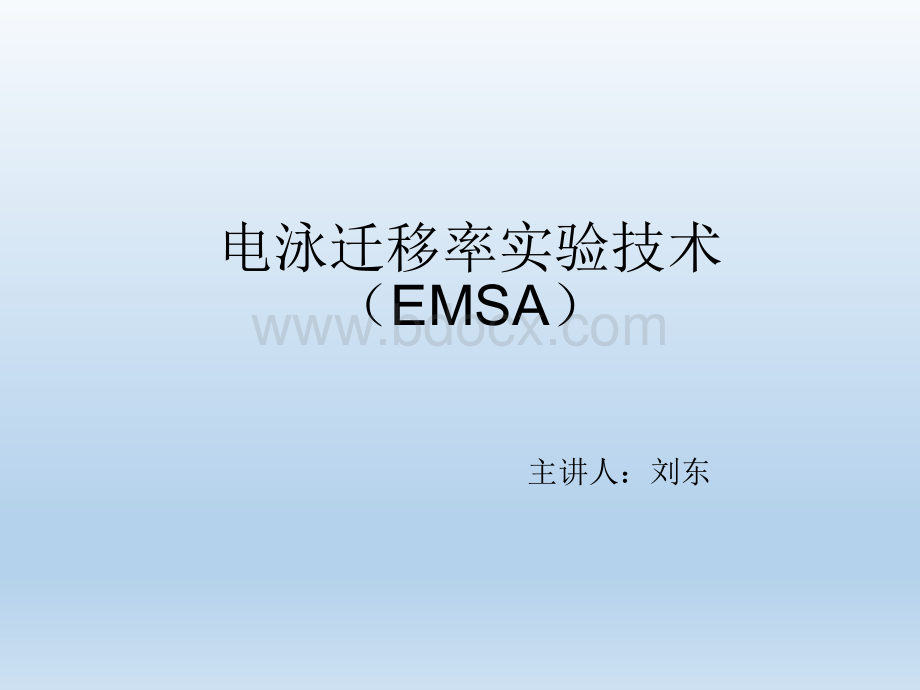 EMSA实验_精品文档优质PPT.ppt