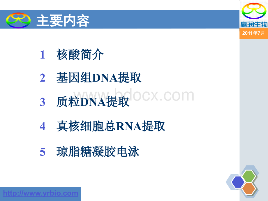 核酸提取原理及方法_精品文档PPT推荐.ppt_第3页